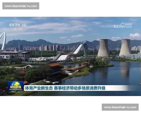 打造权威体育官方网站全景服务平台引领赛事资讯新生态发展趋势力