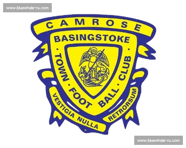 意甲直播APP下载安装到手机随时观看高清赛事不容错过精彩对决全程覆盖