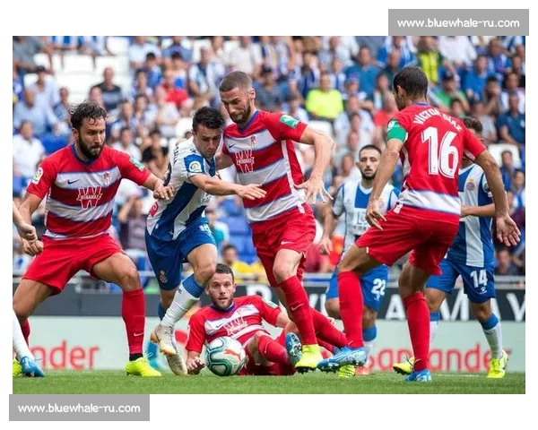 高清流畅足球赛事直播APP下载畅享实时精彩对决全程不漏每一球 - 副本 (9) - 副本 - 副本 - 副本