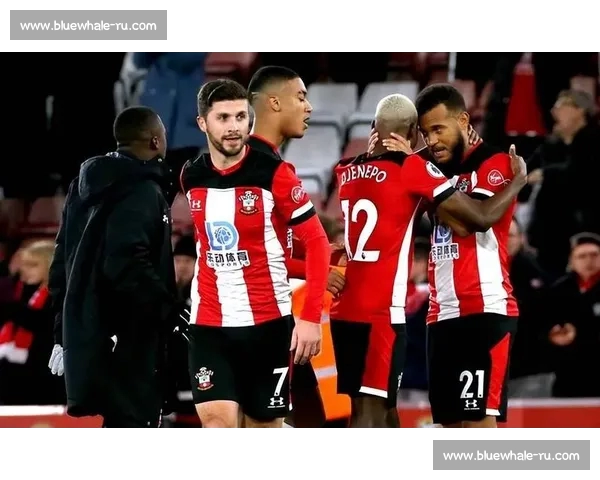 意甲官方平台入口全新升级赛事资讯和互动体验指南