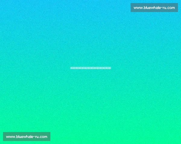 聚焦全球体育热点赛事动态与明星表现全景深度解析精彩纷呈