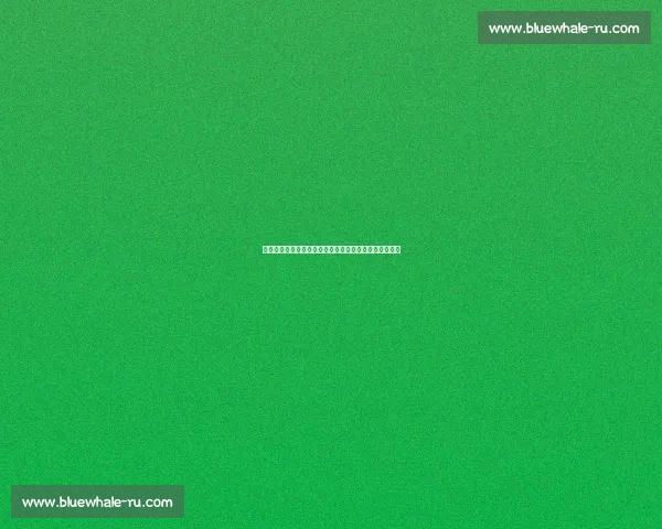 专业体育资讯与数据分析平台助力用户掌握全面运动动态